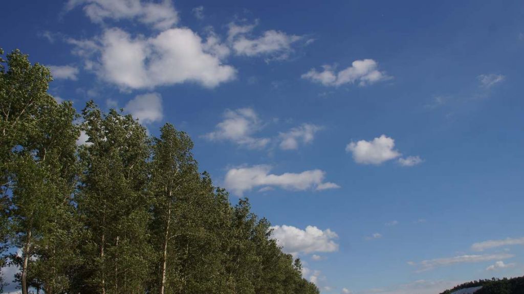 DSC00091 - ����.JPG