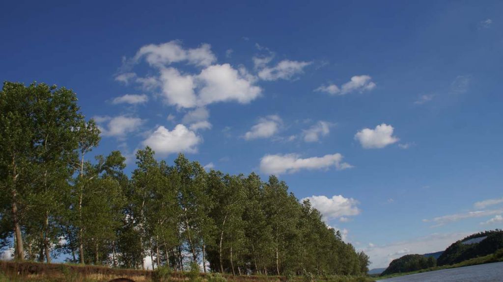 DSC00093 - ����.JPG