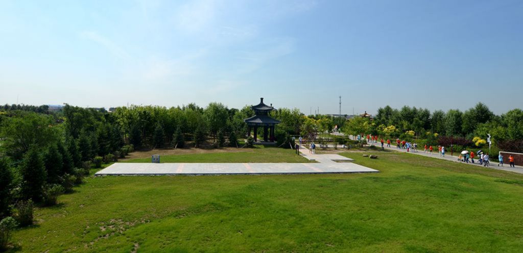 DSC_8520_����.jpg