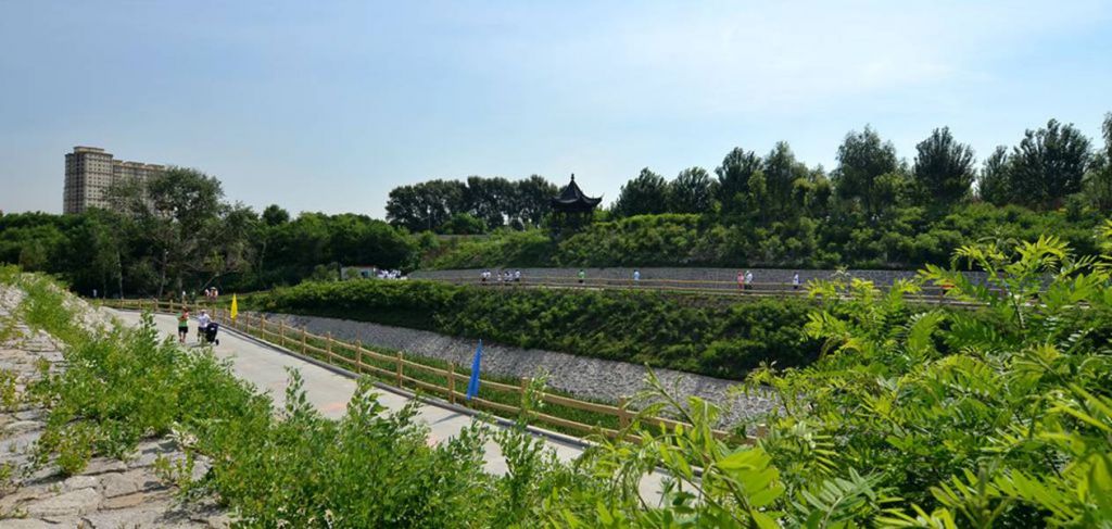 DSC_8522_����.jpg