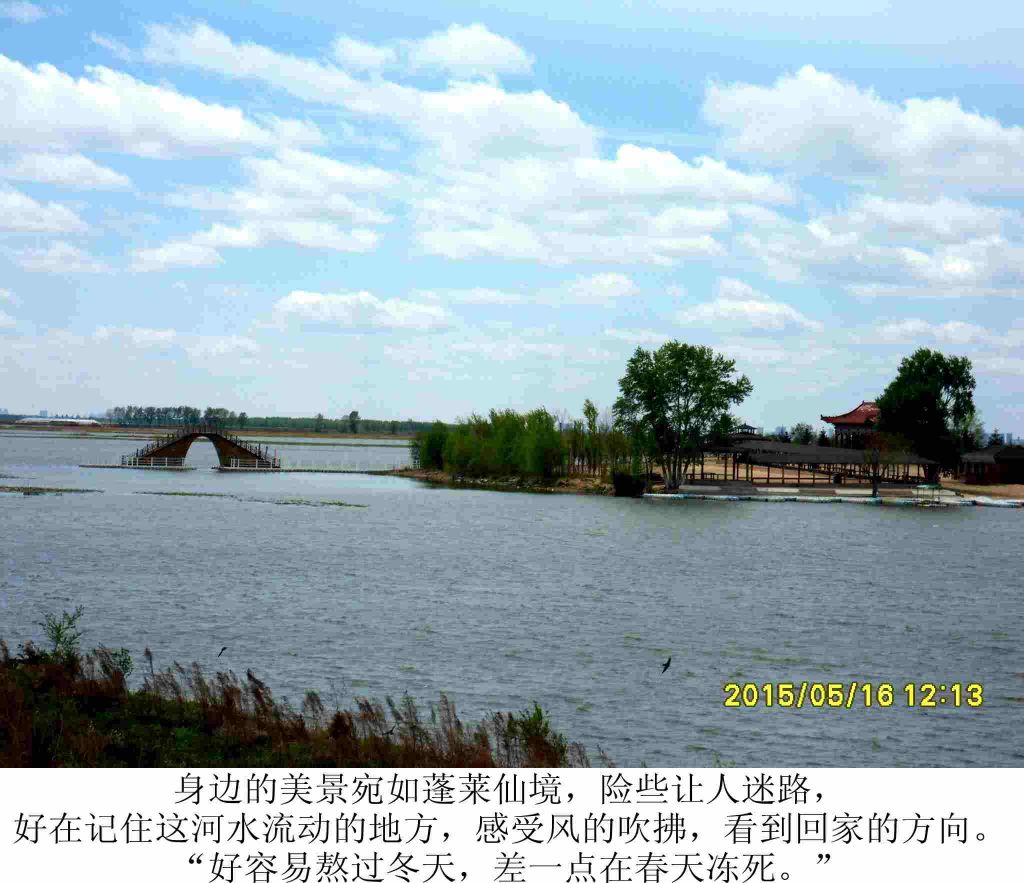 SDC16406_����.jpg