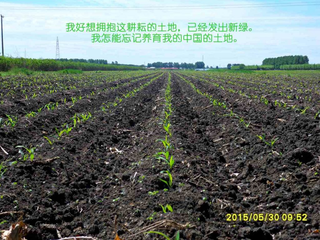 SDC16705_����.jpg