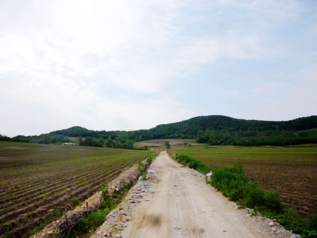 P1060444.jpg