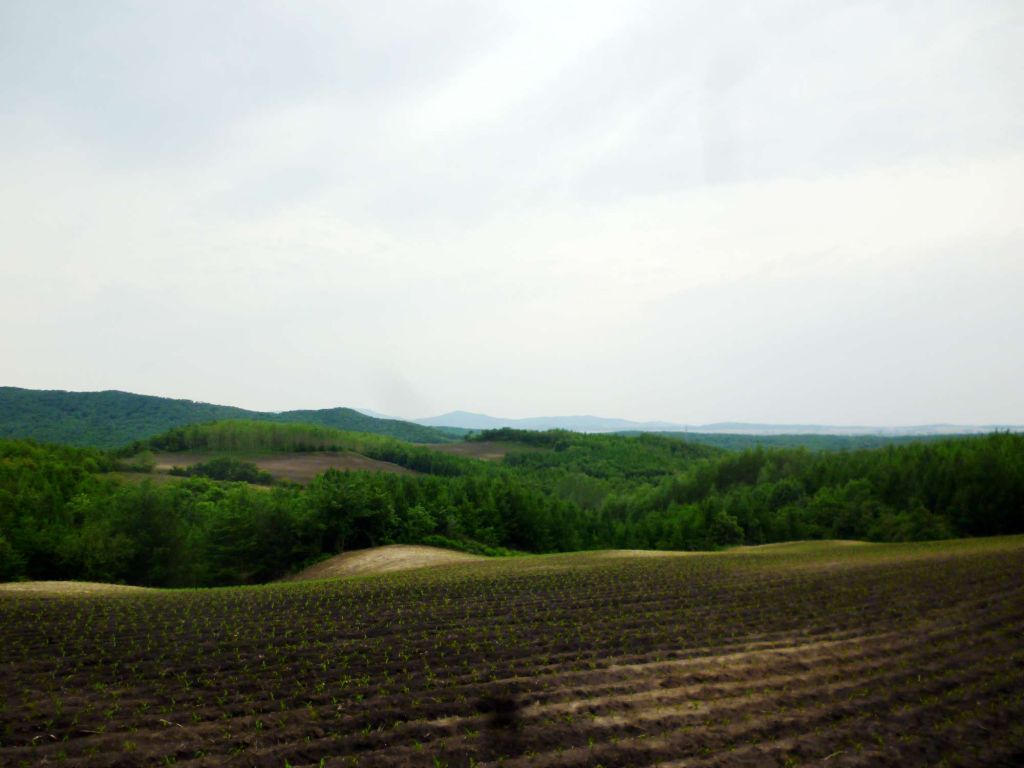 P1060488.jpg