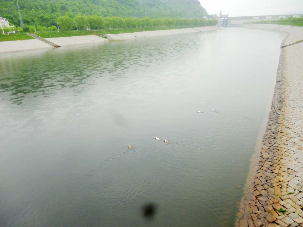 P1060543.jpg
