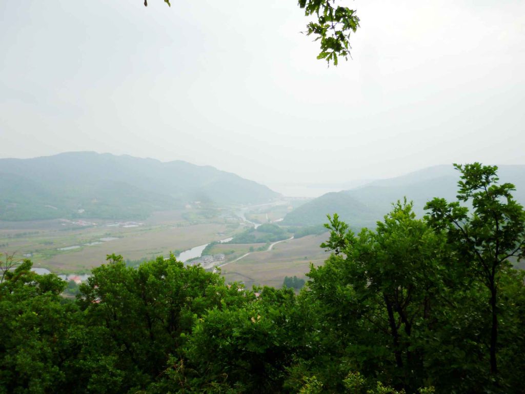 P1060540.jpg