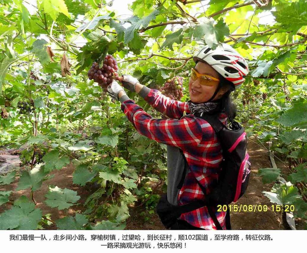 SDC19077_副本.jpg