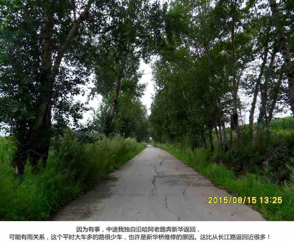 SDC19231.jpg