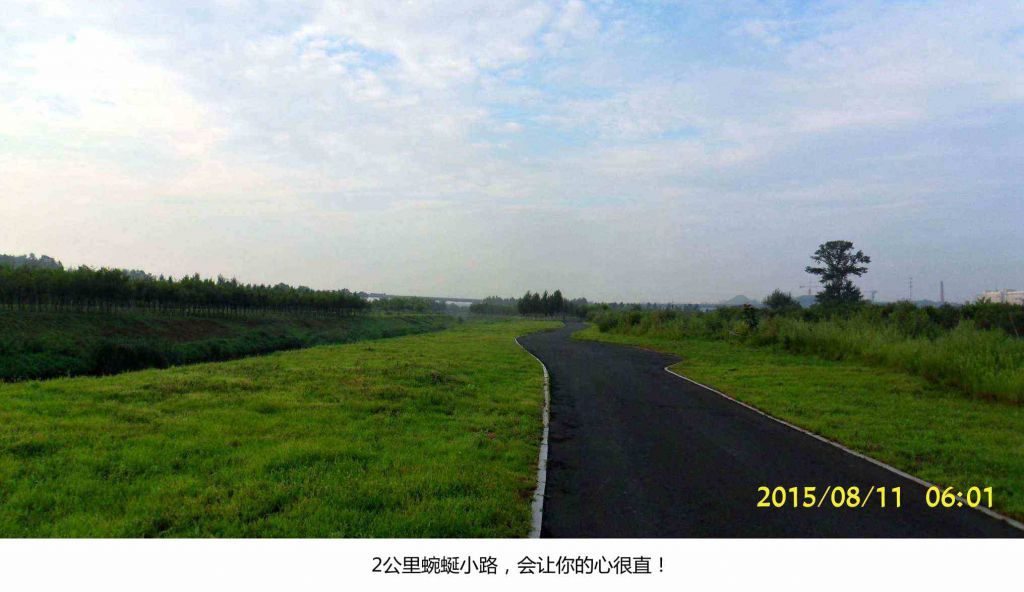 SDC19091.jpg