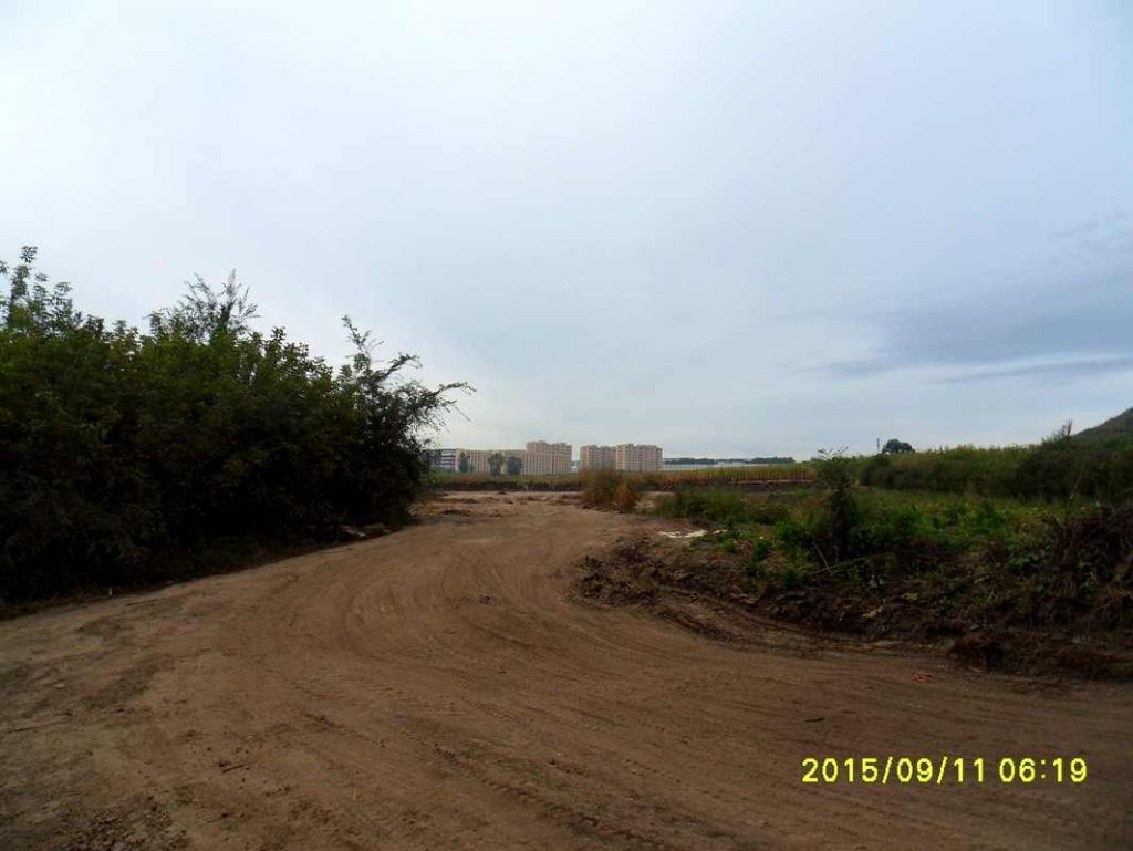 SDC19998_����.jpg