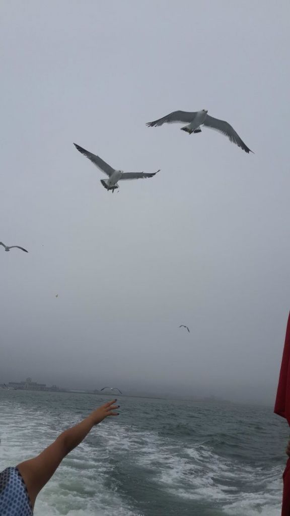QQͼƬ20150714110348.jpg
