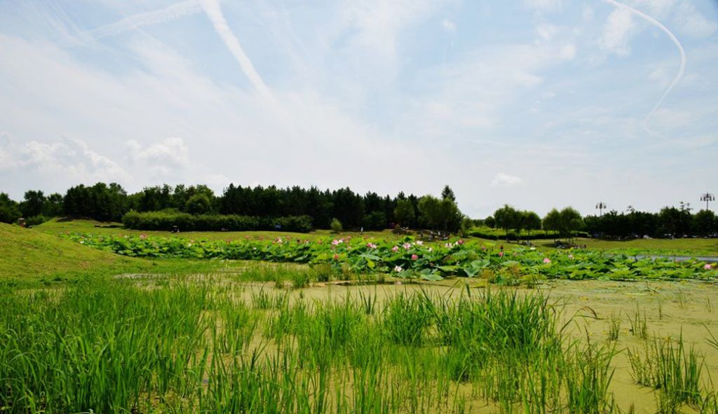 DSC_9040_����.jpg