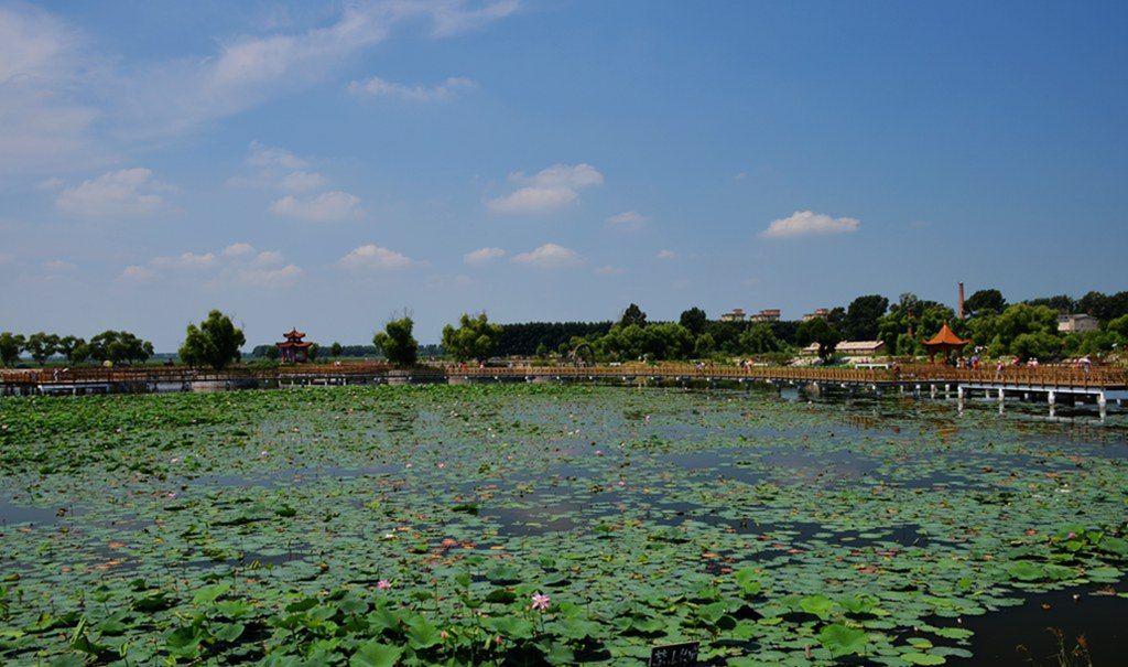 DSC_9310_����.jpg