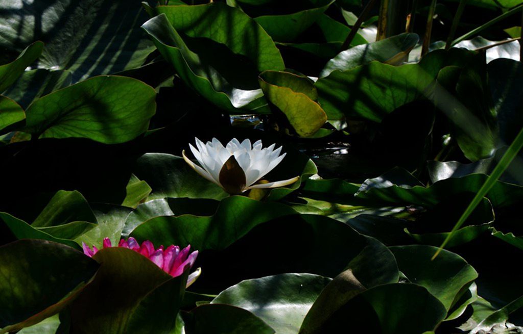 DSC_9236_����.jpg