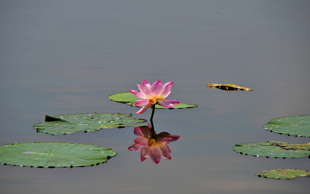 DSC_9366_����.jpg