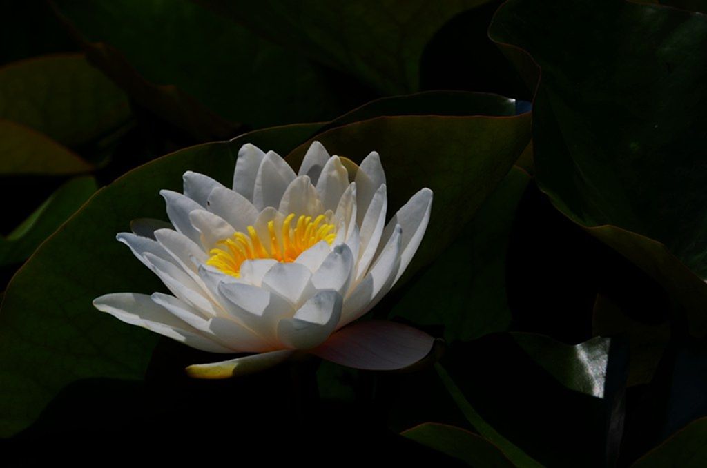 DSC_9255_����.jpg