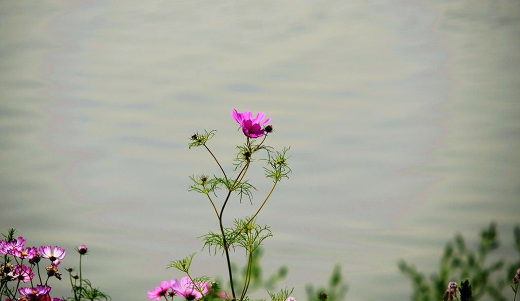 DSC_0007_����.jpg