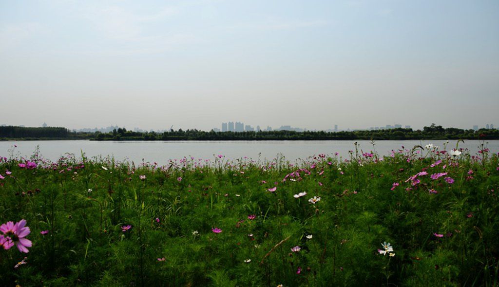 DSC_0009_����.jpg