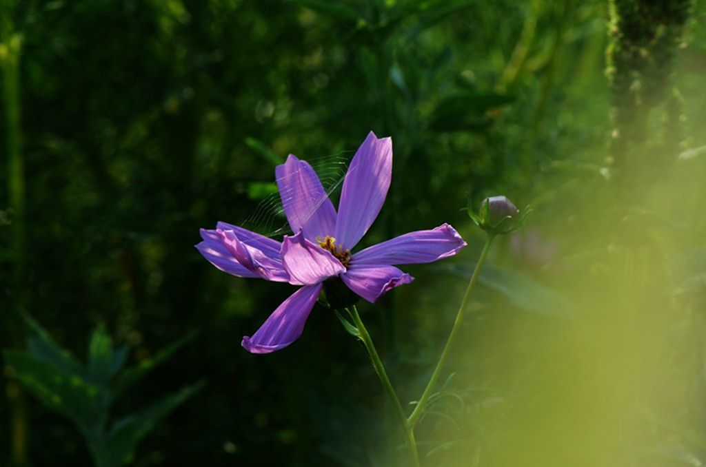 DSC_9848_����.jpg
