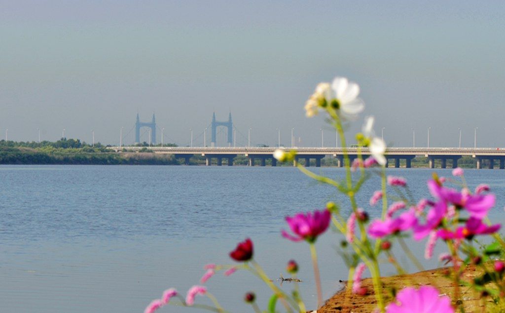 DSC_9871_����.jpg
