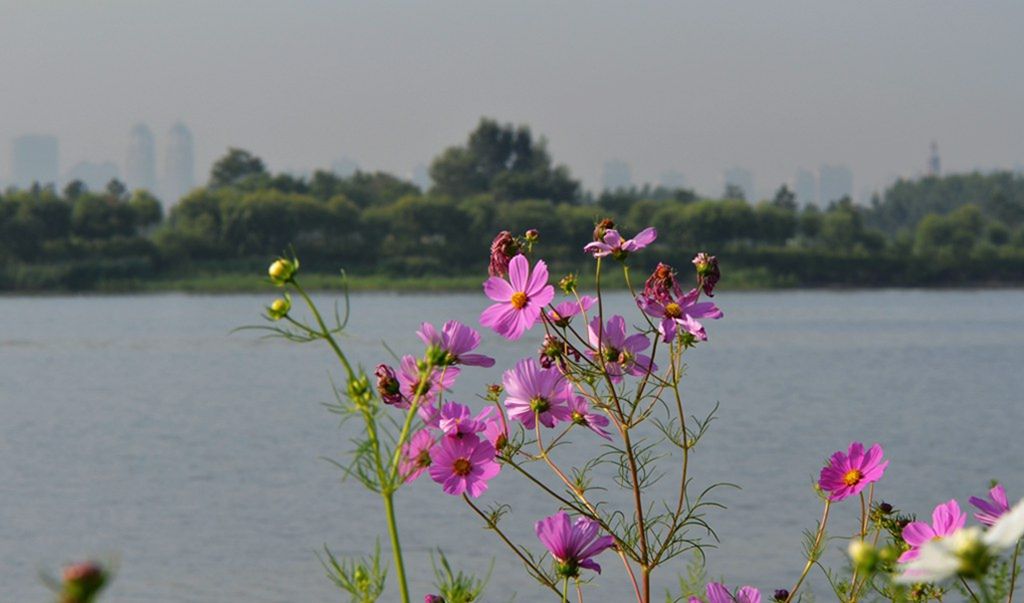 DSC_9855_����.jpg