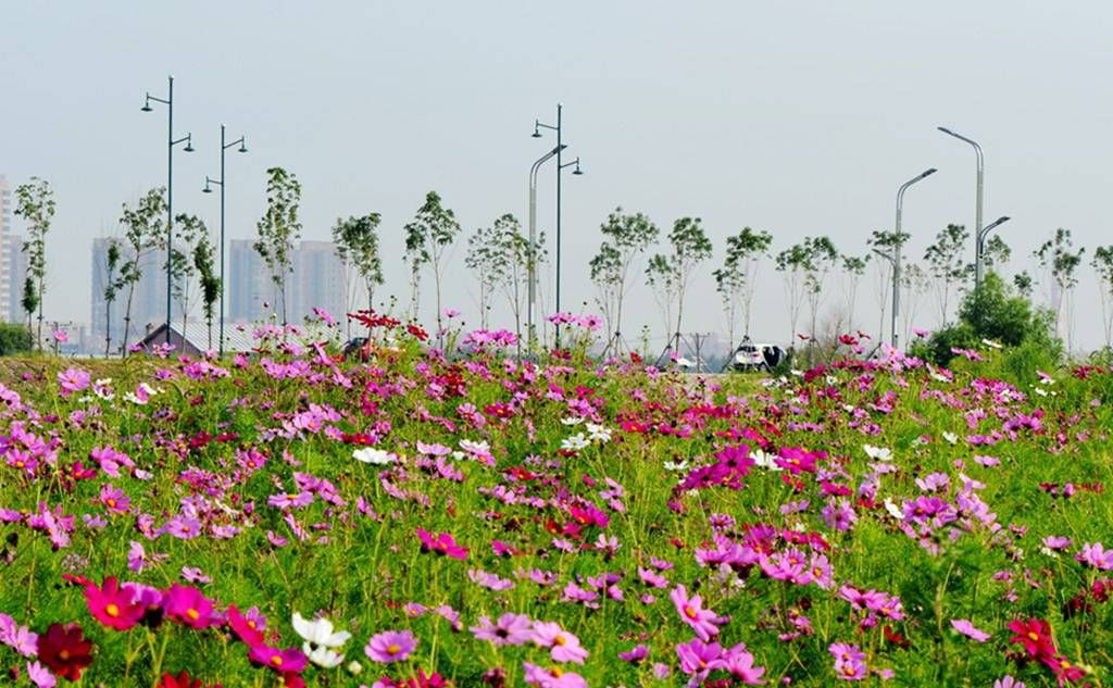 DSC_9889_����.jpg