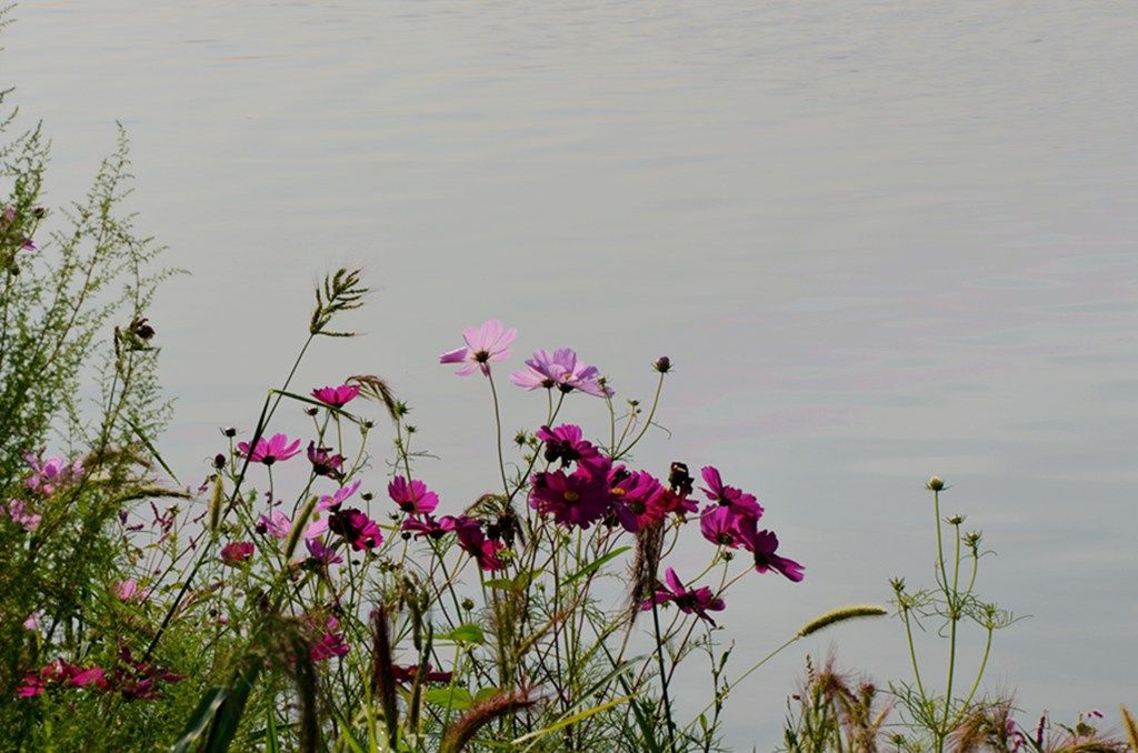 DSC_9877_����.jpg