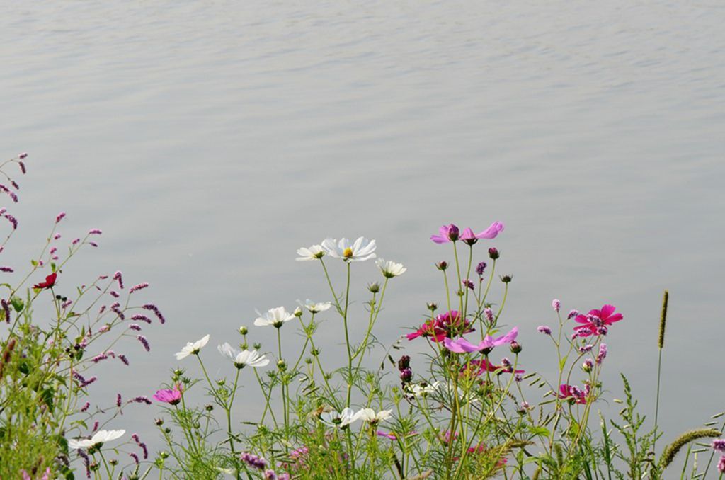 DSC_9878_����.jpg
