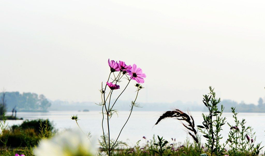 DSC_9882_����.jpg
