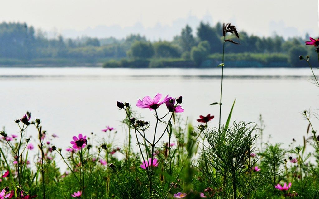 DSC_9911_����.jpg