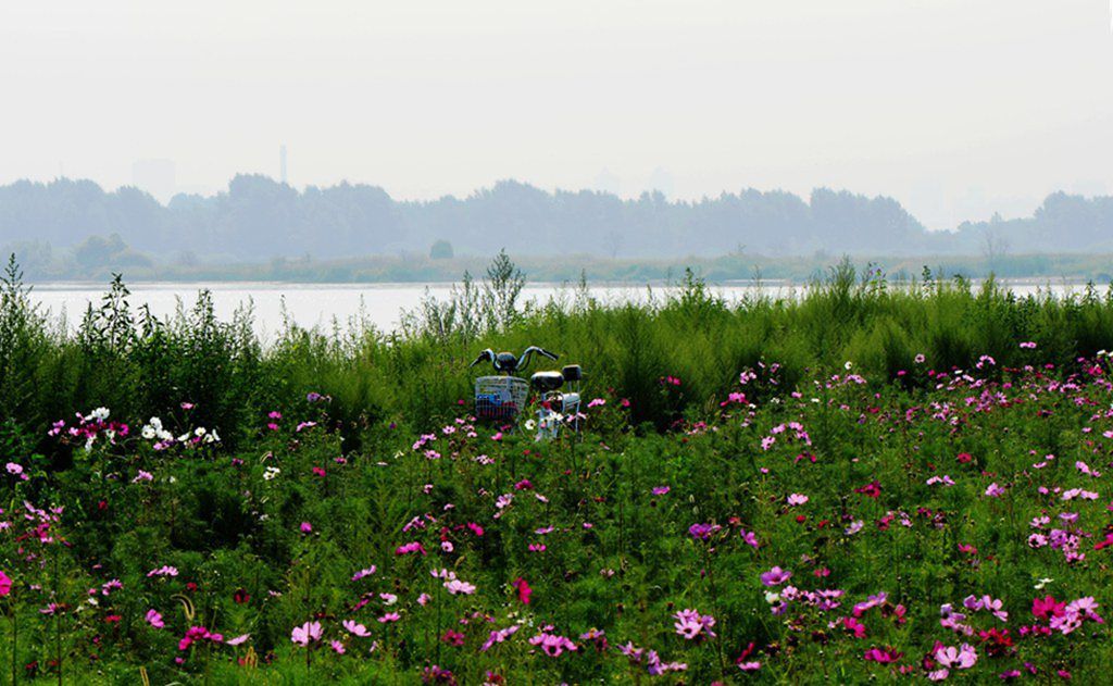 DSC_9895_����.jpg
