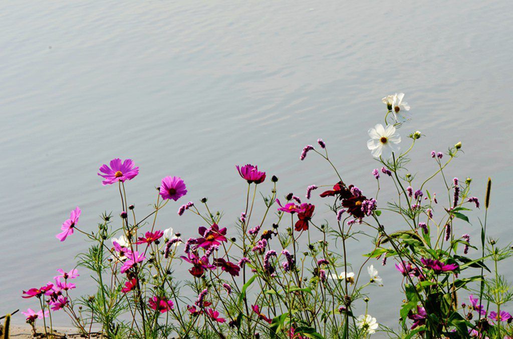 DSC_9917_����.jpg