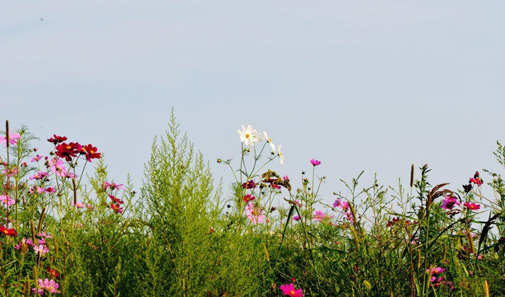DSC_9922_����.jpg