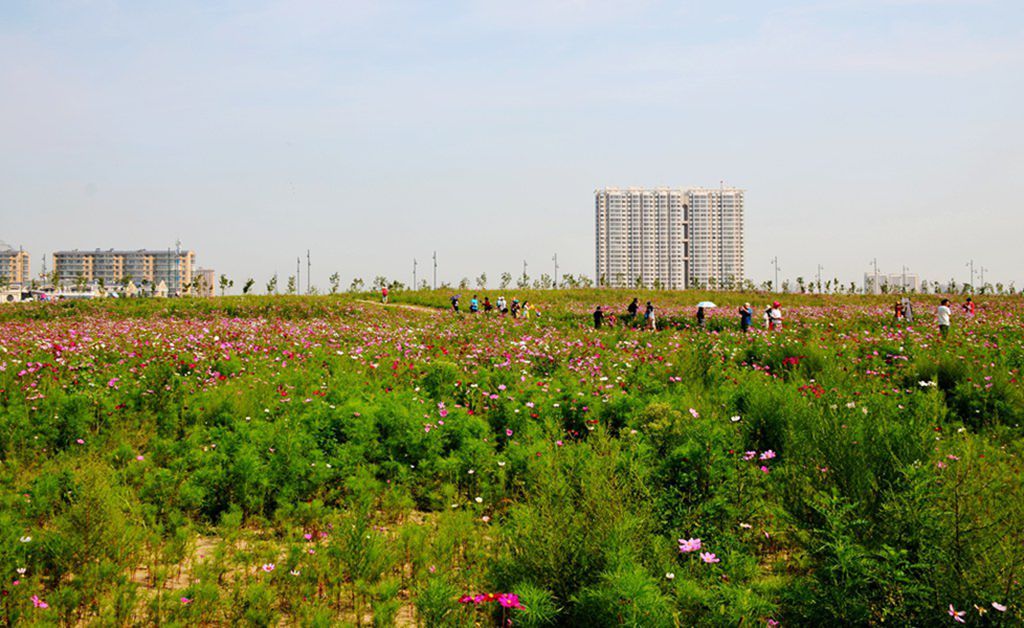 DSC_9975_����.jpg