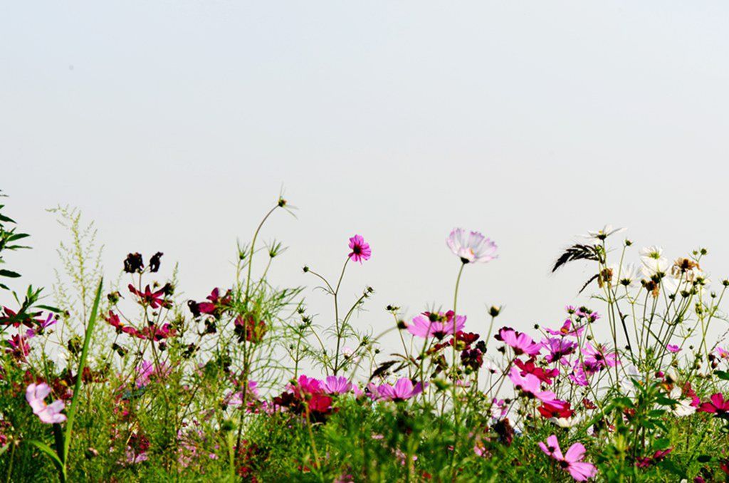 DSC_9957_����.jpg