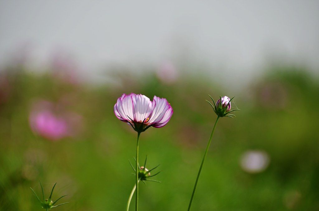 DSC_9988_����.jpg