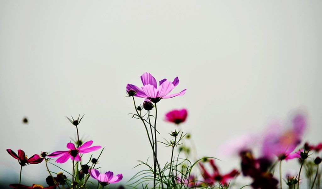 DSC_9989_����.jpg