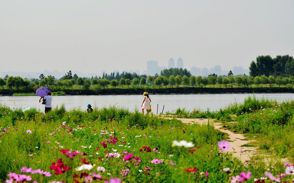 DSC_9990_����.jpg