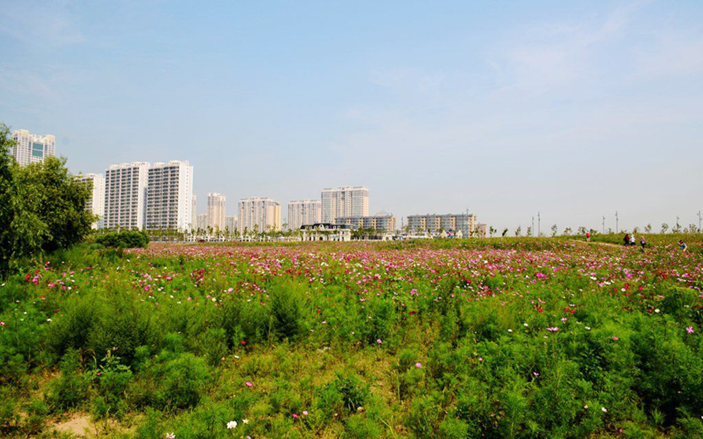 DSC_9977_����.jpg