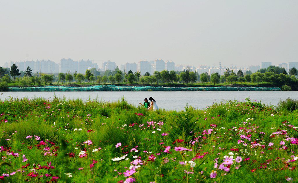DSC_9980_����.jpg
