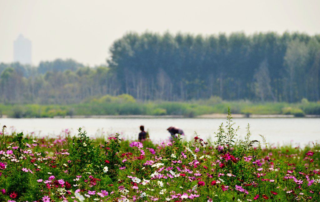 DSC_9985_����.jpg