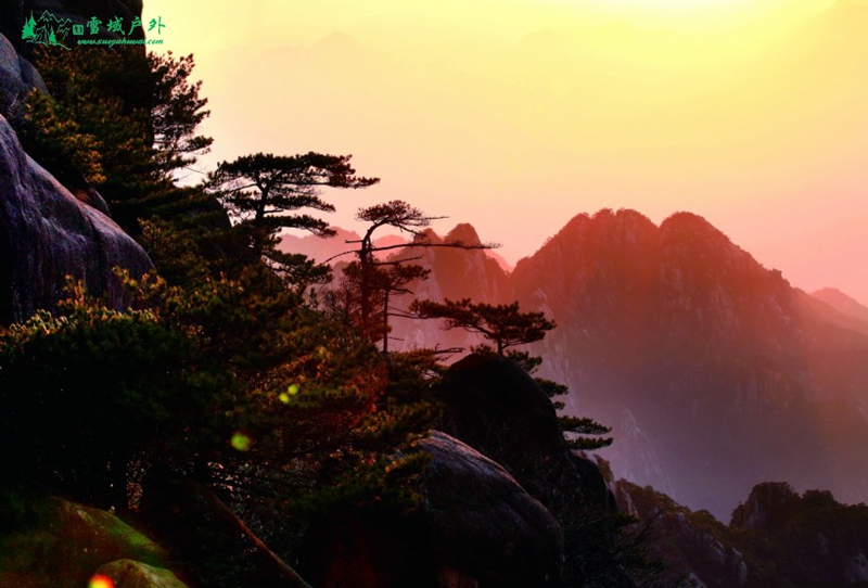 anhui_huangshan_fengjing-019.jpg