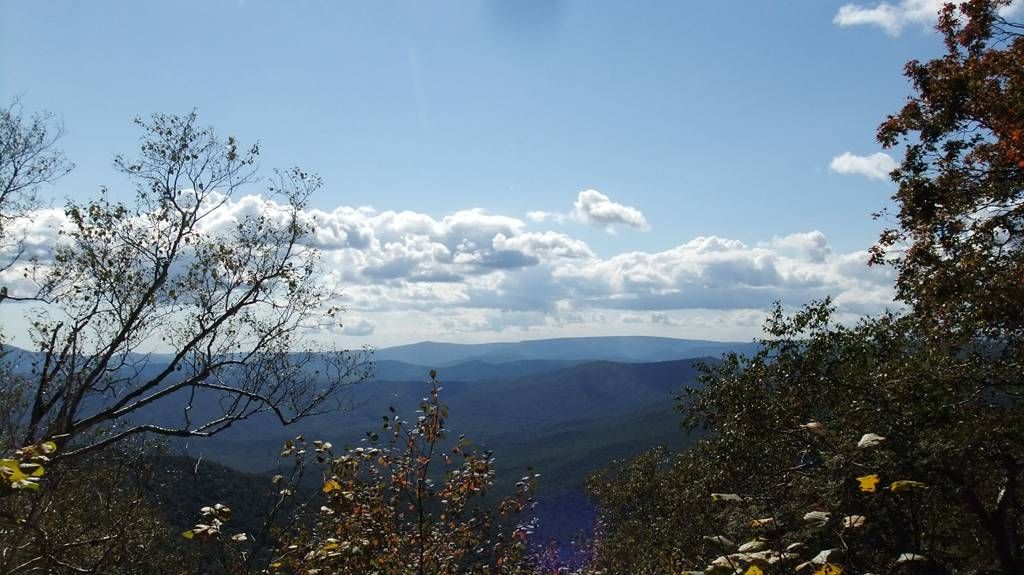 DSCF2191.jpg