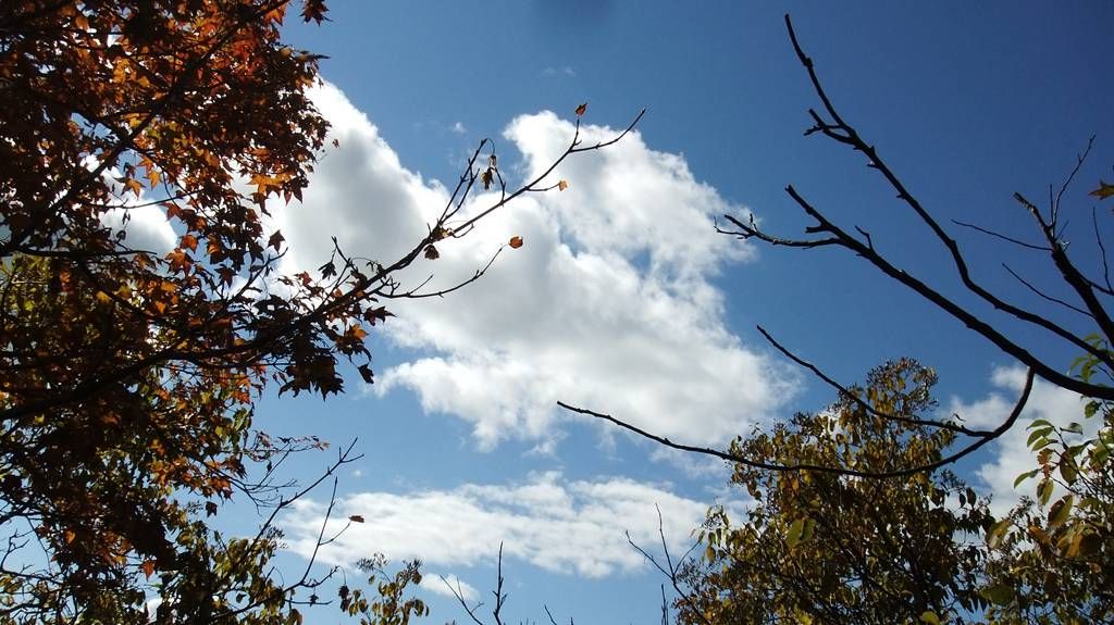 DSCF2219.jpg