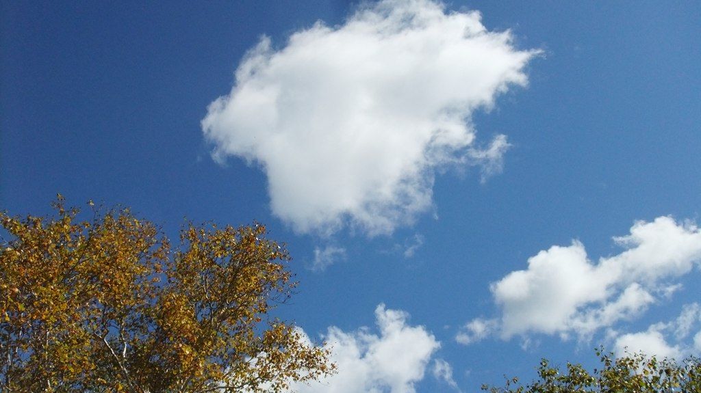 DSCF2214.jpg