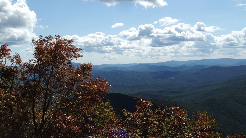 DSCF2226.jpg