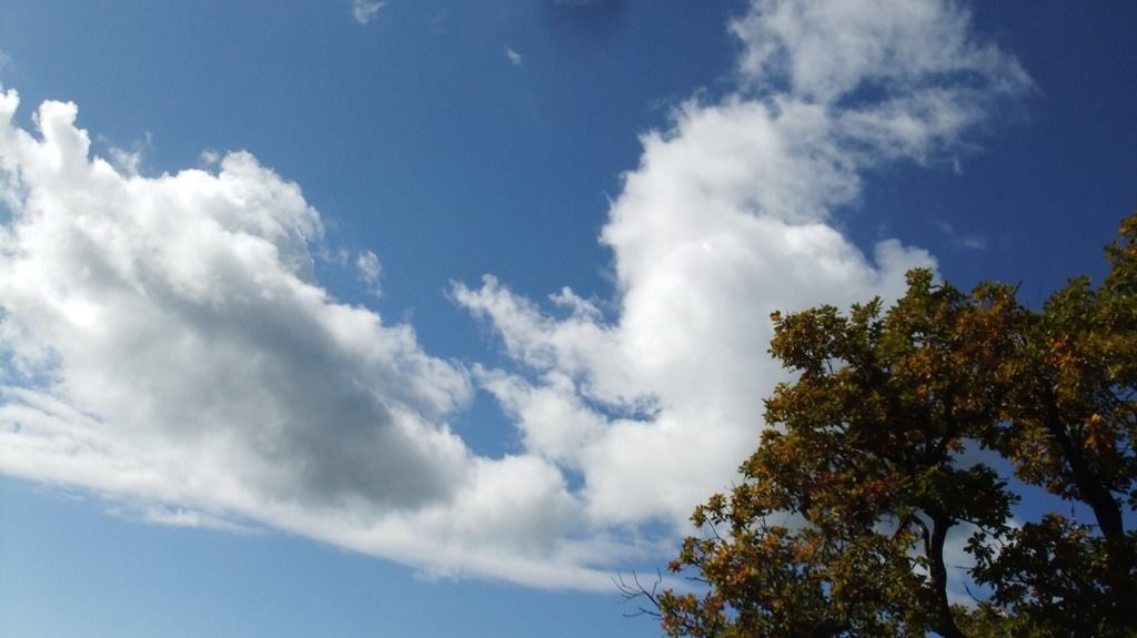 DSCF2227.jpg