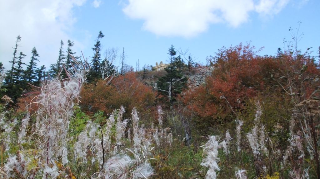 DSCF2242.jpg