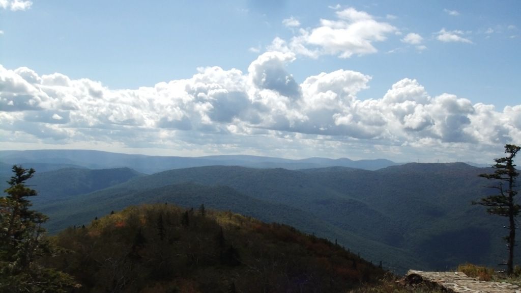 DSCF2251.jpg