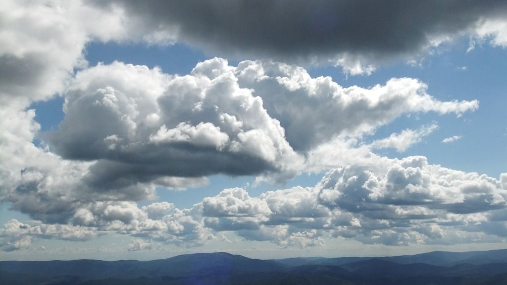DSCF2247.jpg